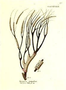 n194_w1150
