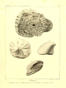 n40_w1150