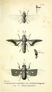 n258_w1150