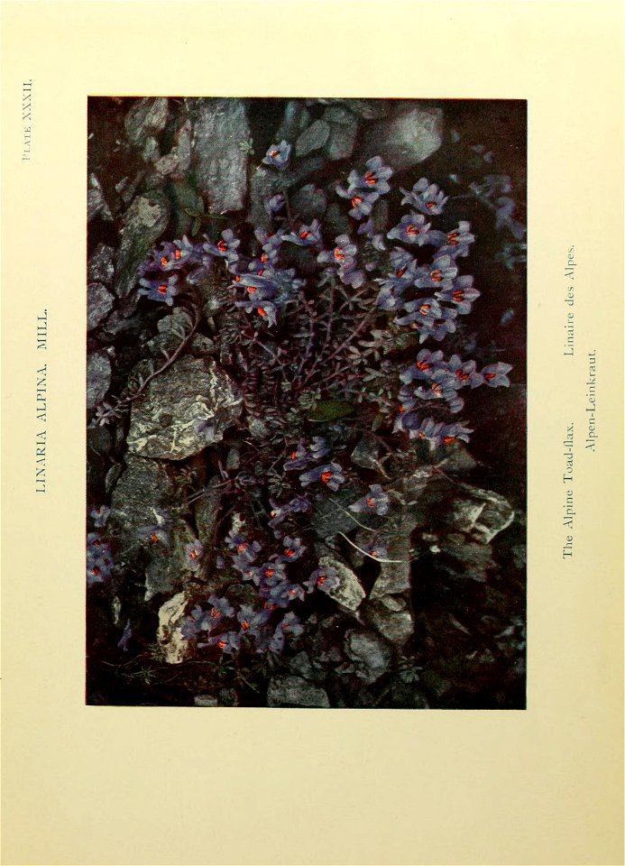 n162_w1150