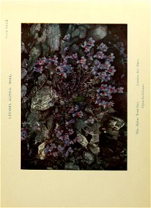 n162_w1150