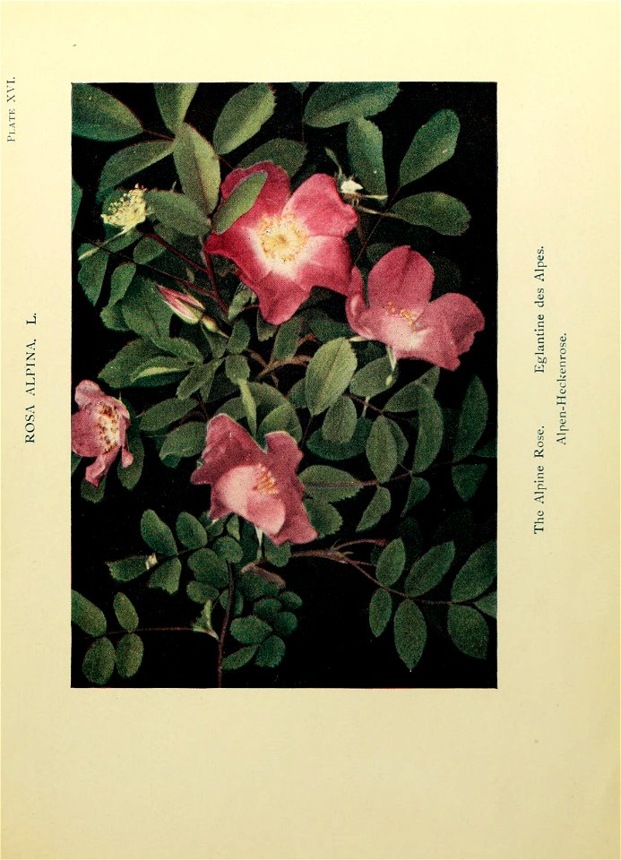 n96_w1150