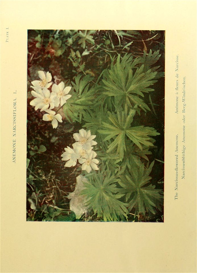 n36_w1150