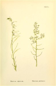 n436_w1150