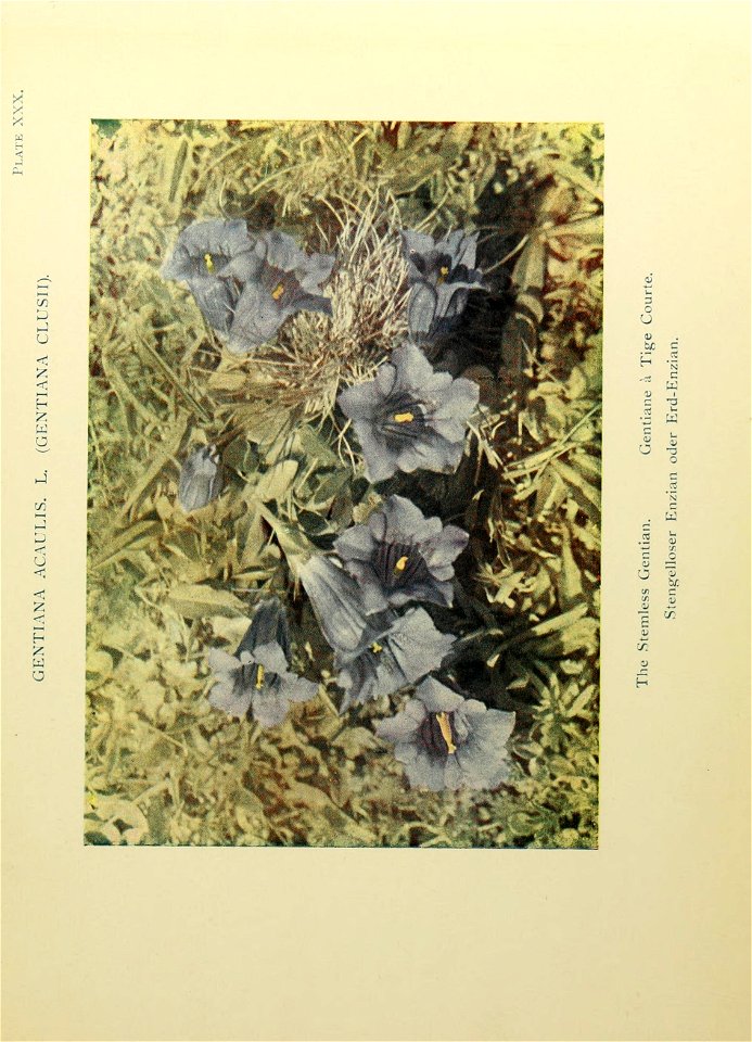 n154_w1150