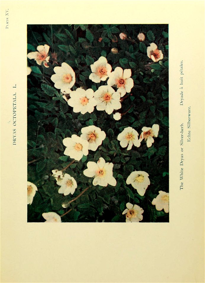 n92_w1150
