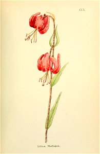 n464_w1150