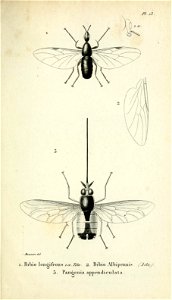 n252_w1150