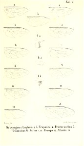 n1010_w1150