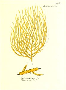 n212_w1150