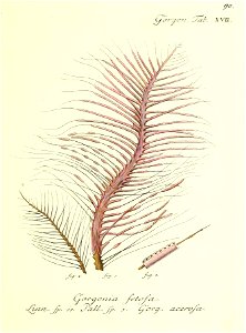 n182_w1150