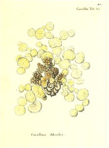n122_w1150
