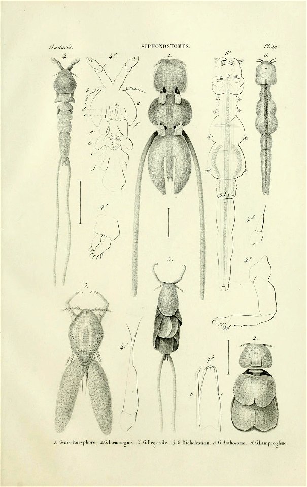 n120_w1150
