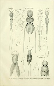 n120_w1150
