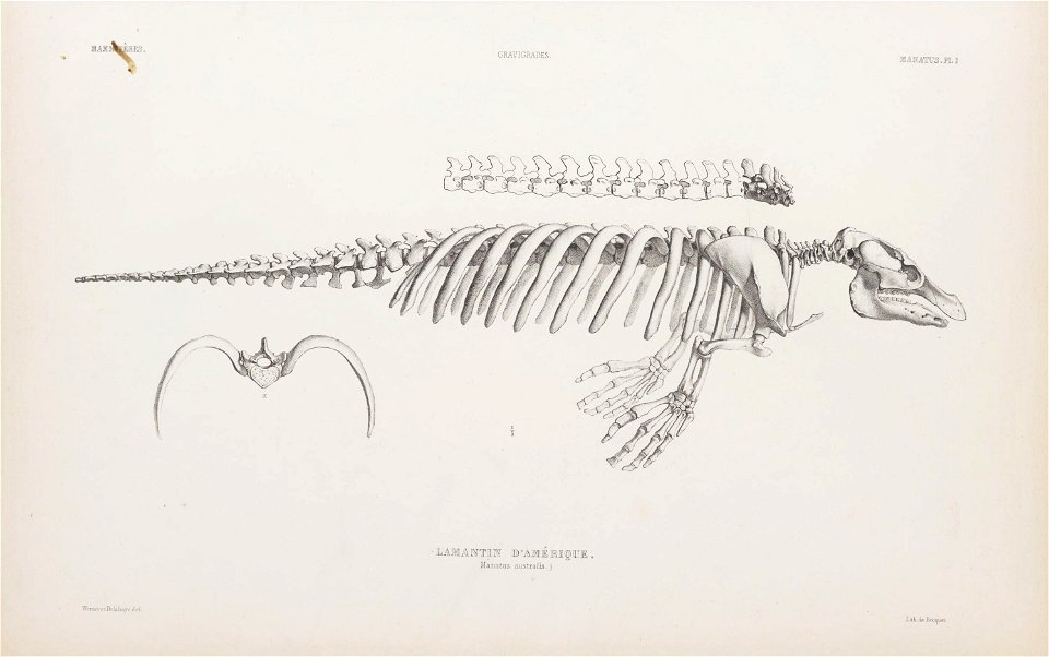 n52_w1150