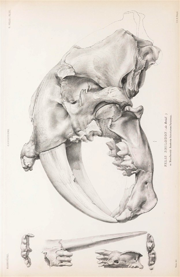 n194_w1150