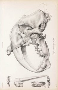 n194_w1150