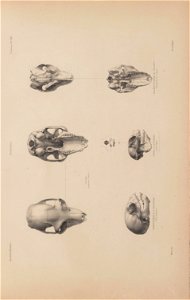 n66_w1150