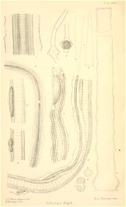 n9_w1150