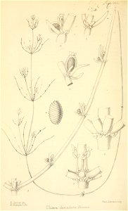 n301_w1150