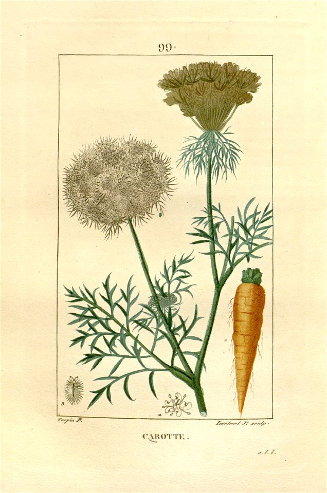 n180_w1150