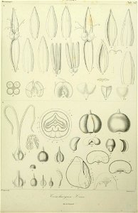 n218_w1150