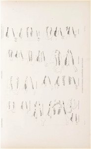 n122_w1150
