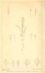 n469_w1150