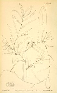 n9_w1150
