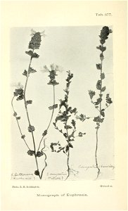 n497_w1150