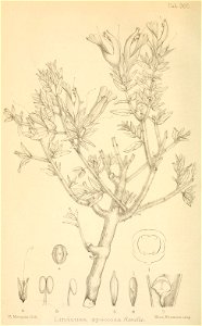 n435_w1150