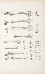 n62_w1150