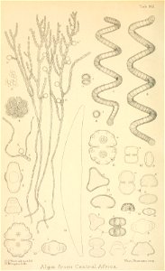 n433_w1150