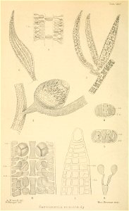 n301_w1150