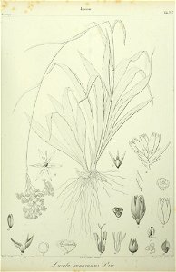 n206_w1150