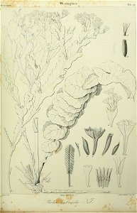 n116_w1150