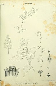 n86_w1150