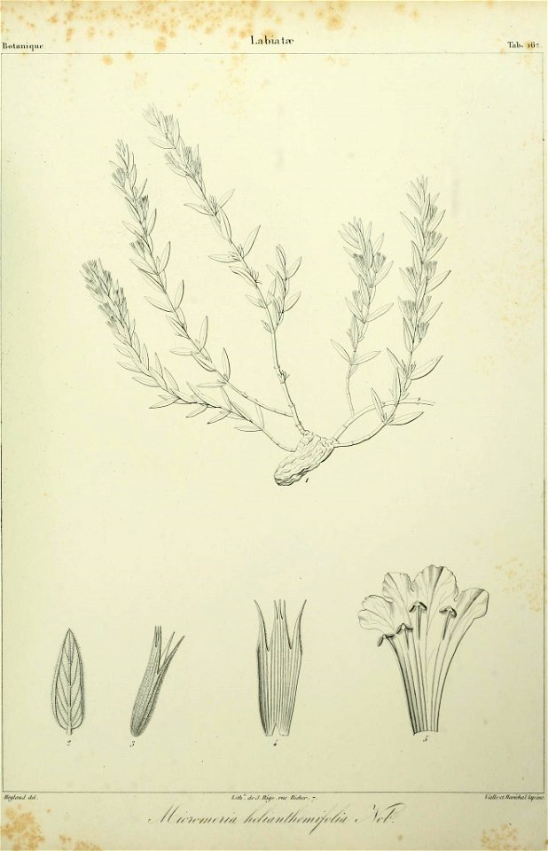 n56_w1150