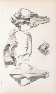 n208_w1150