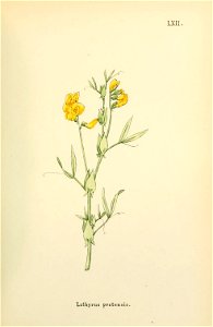 n168_w1150