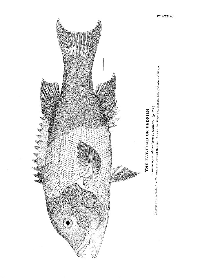 n205_w1150