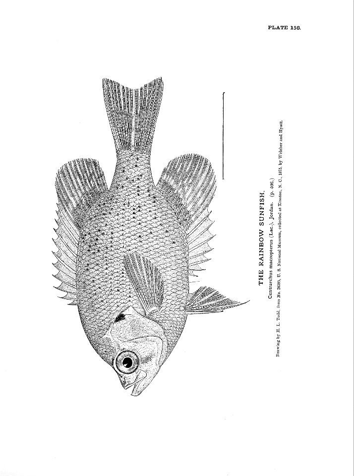 n351_w1150