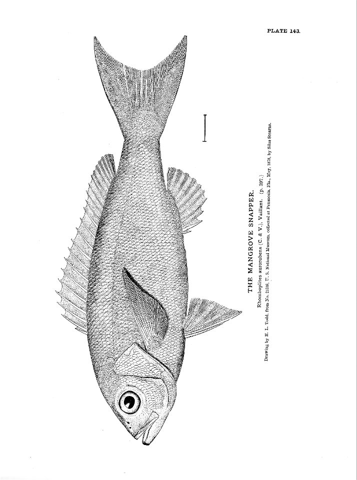 n321_w1150