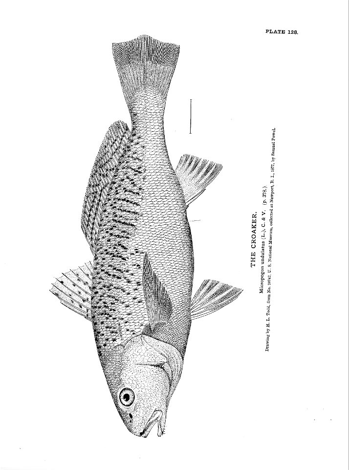 n291_w1150