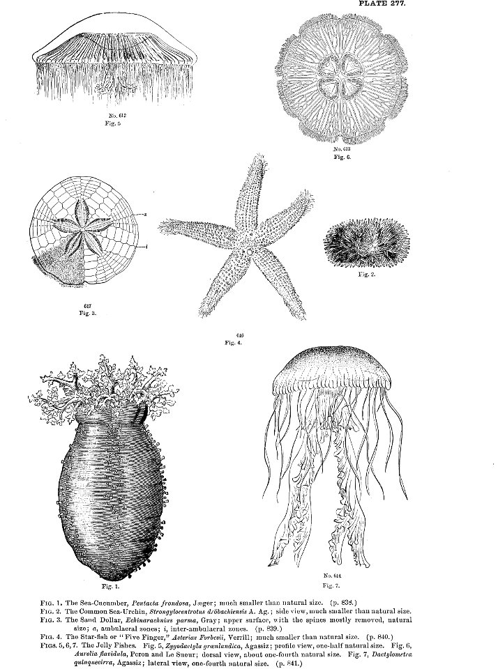 n611_w1150