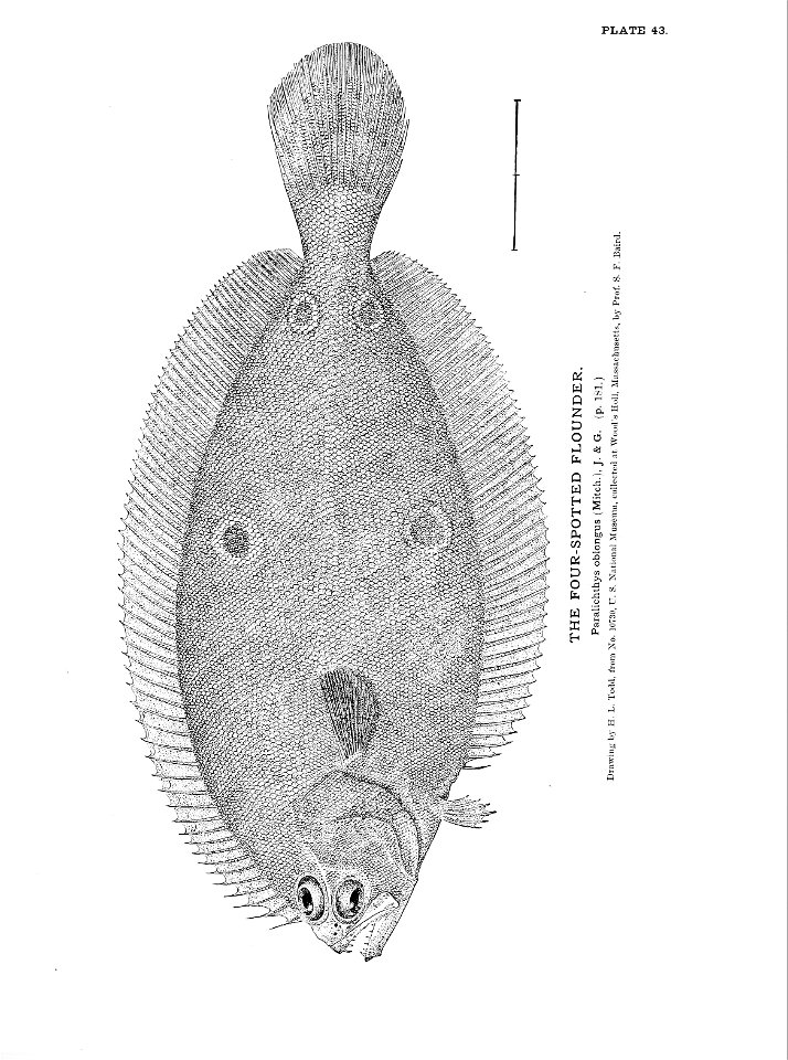 n109_w1150