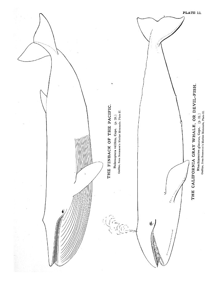 n46_w1150