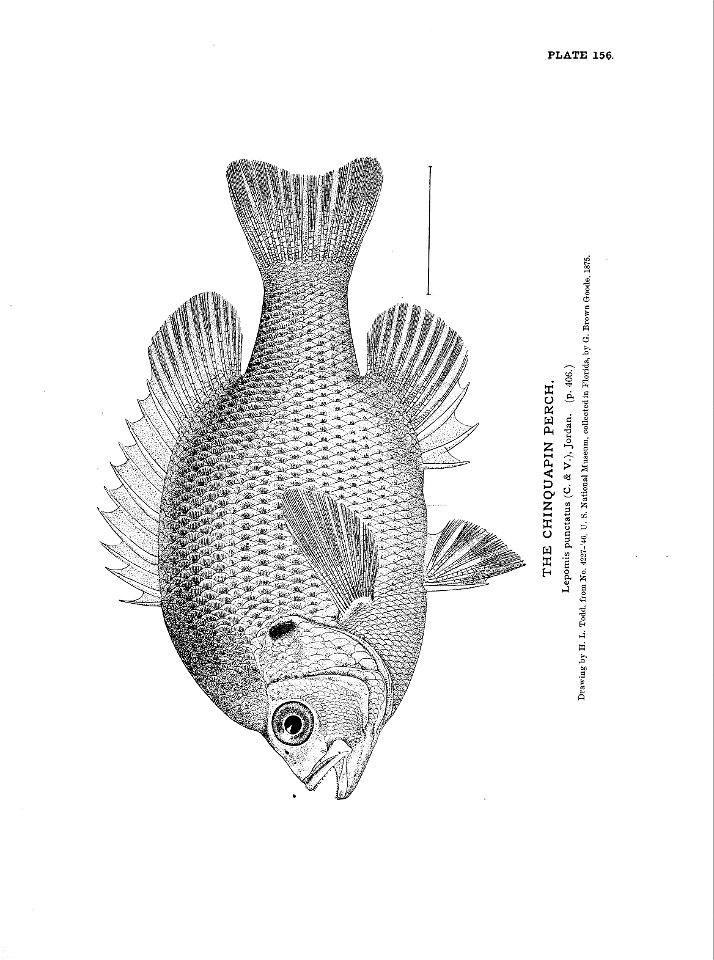 n347_w1150