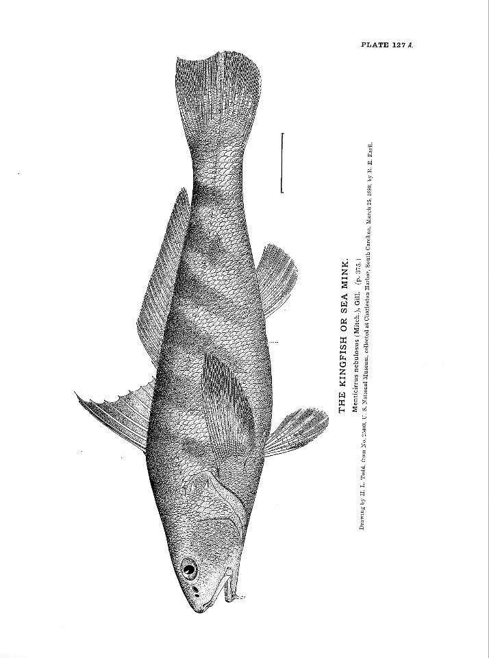 n287_w1150