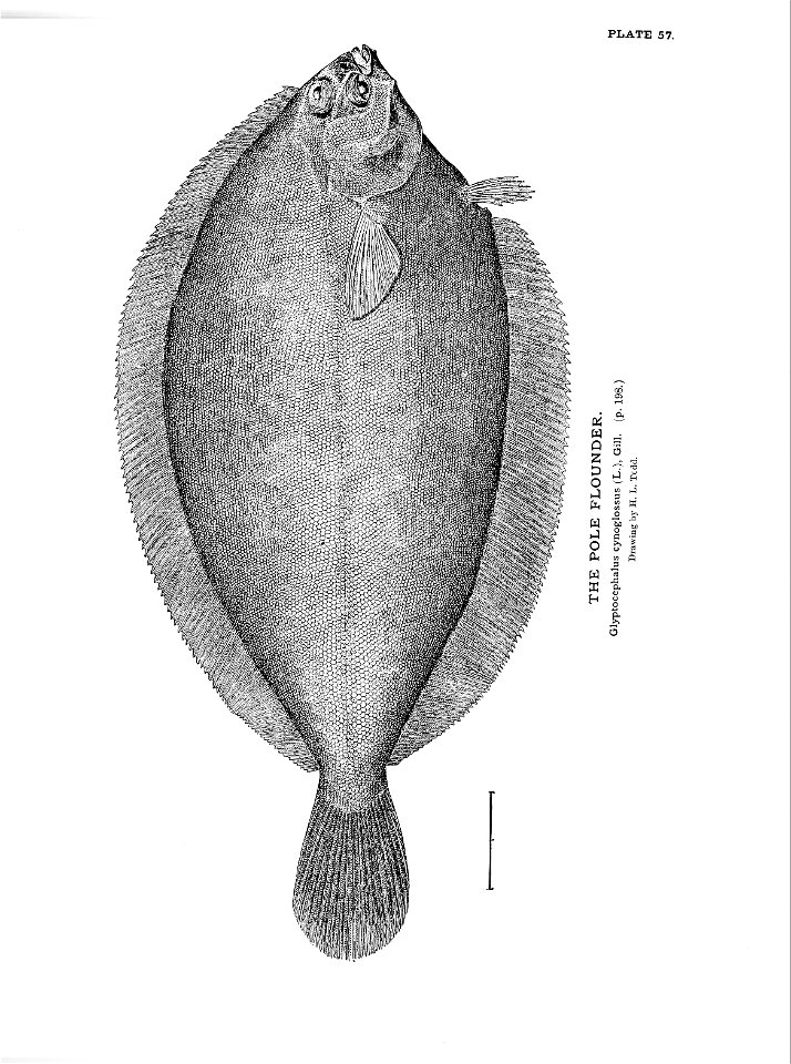 n137_w1150